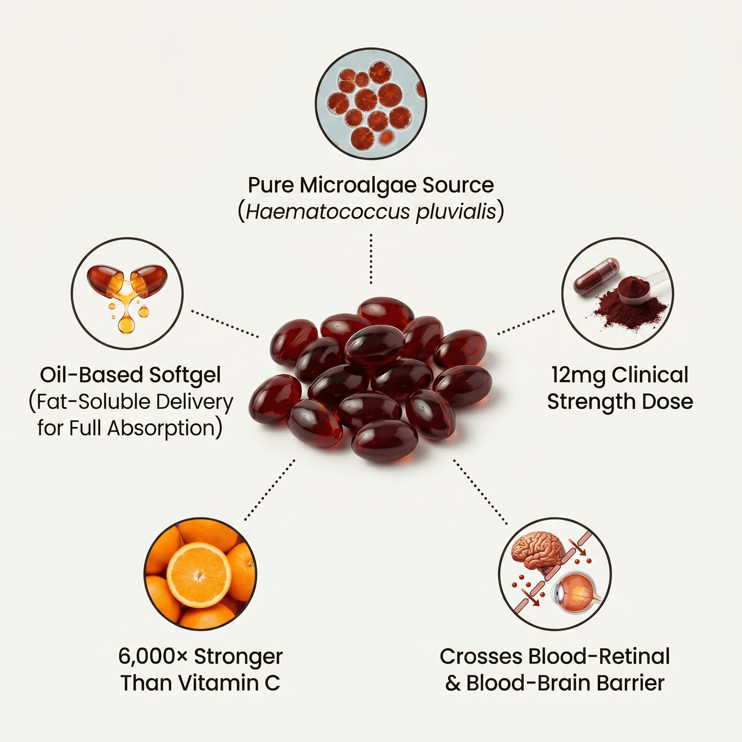 Revivia Astaxanthin Softgels — Clinically Dosed Kidney, Vision & Brain Protection That Actually Reaches Your Cells The Starter Defense